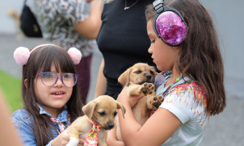 Programa novo da Semma e Assistência Social usa pets na terapia de pessoas com deficiência